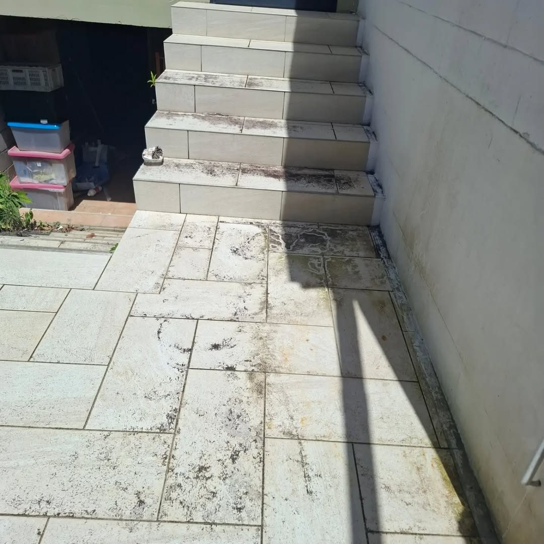 Avant : escalier et dallage extérieur noircis par les moisissures